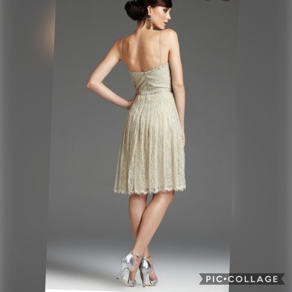 Mignon lace overlay cocktail dress - Picture 3 of 12